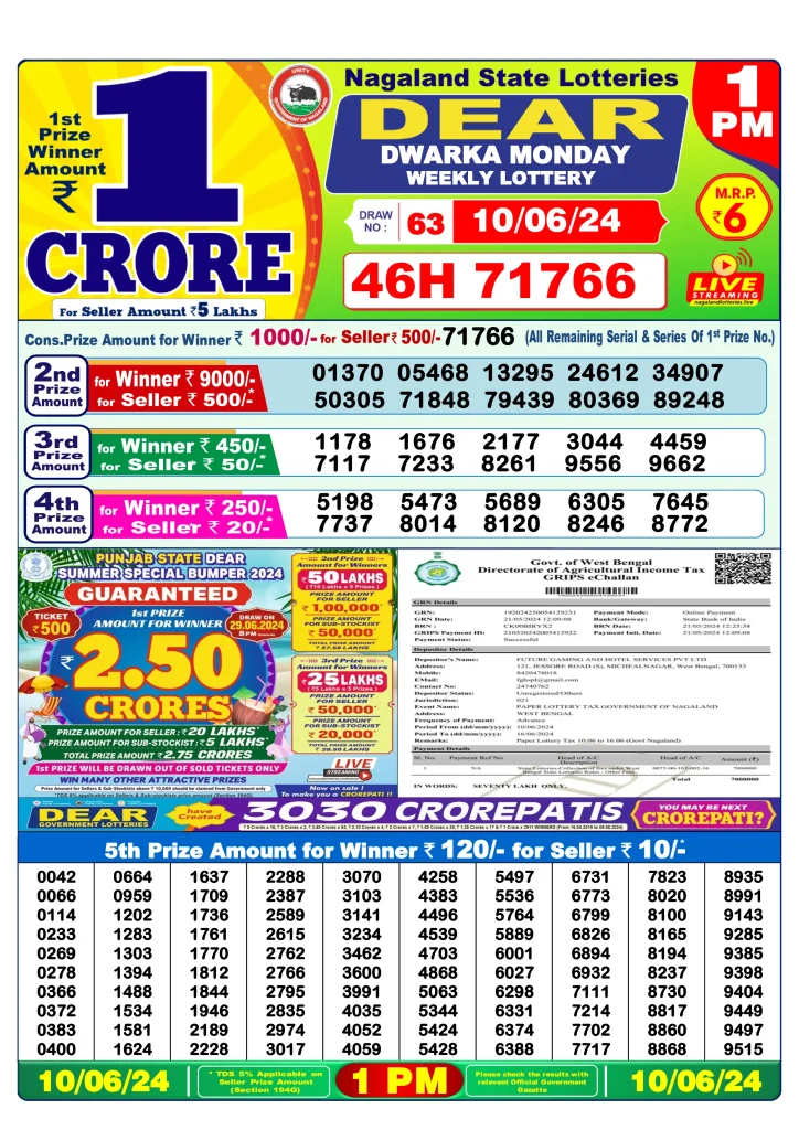 Dhankesari Dear Morning Lottery Result 1:00 PM 10.6.2024