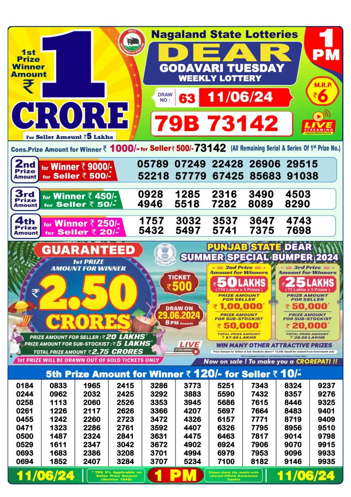 Dhankesari Dear Morning Lottery Result 1:00 PM 11.6.2024