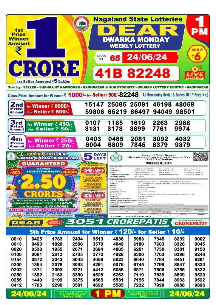 Dhankesari Dear Morning Lottery Result 1:00 PM 24.6.2024