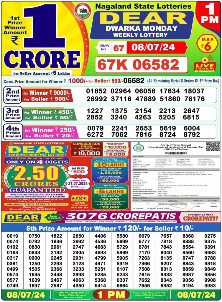 Dhankesari Dear Morning Lottery Result 1:00 PM 8.7.2024